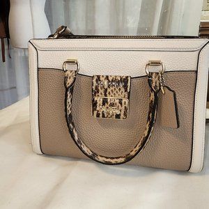 Coach Grace Carryall in Colorblock